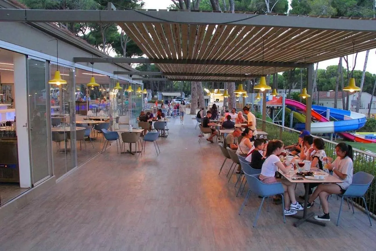 Campsite Camping 4 Etoiles - Parc Aquatique - Ccafefi Pals Spain